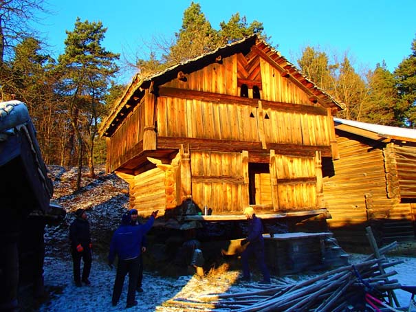 raulandsloft i sol copy